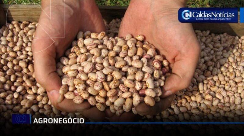 Caldas Noticias