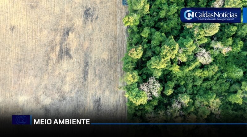 Caldas Noticias