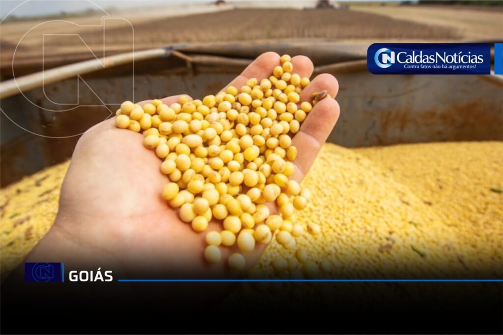 Caldas Noticias