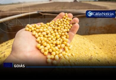 Caldas Noticias