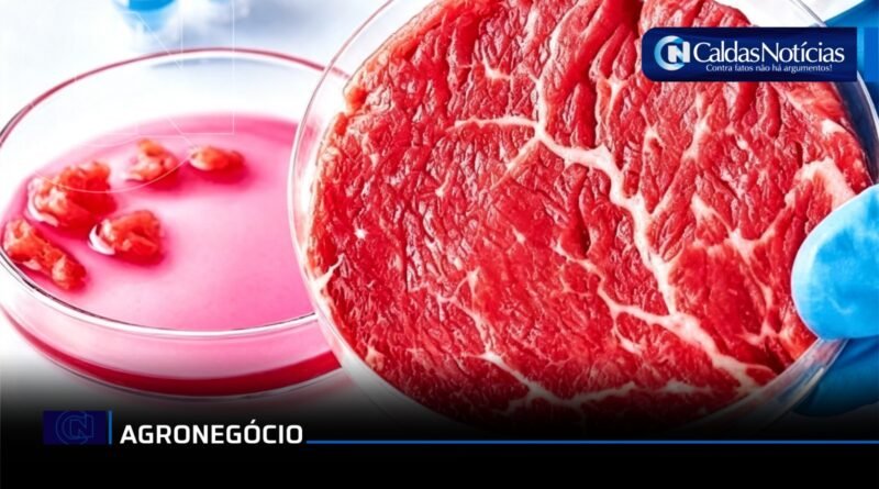 Caldas Noticias