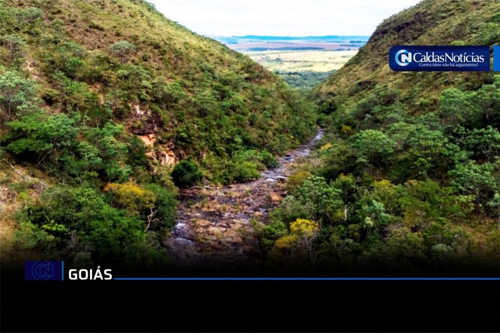 Caldas Noticias