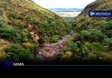 Caldas Noticias