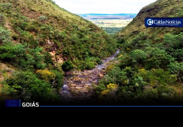 Caldas Noticias